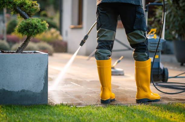 Best Surface-Specific Cleaning in Cold Spring, MN